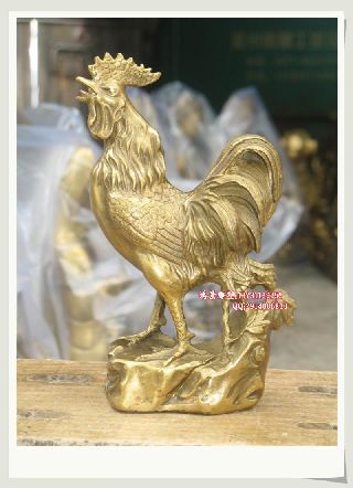 �~���(d��ng)�﹫�u     ��(d��ng)���~����